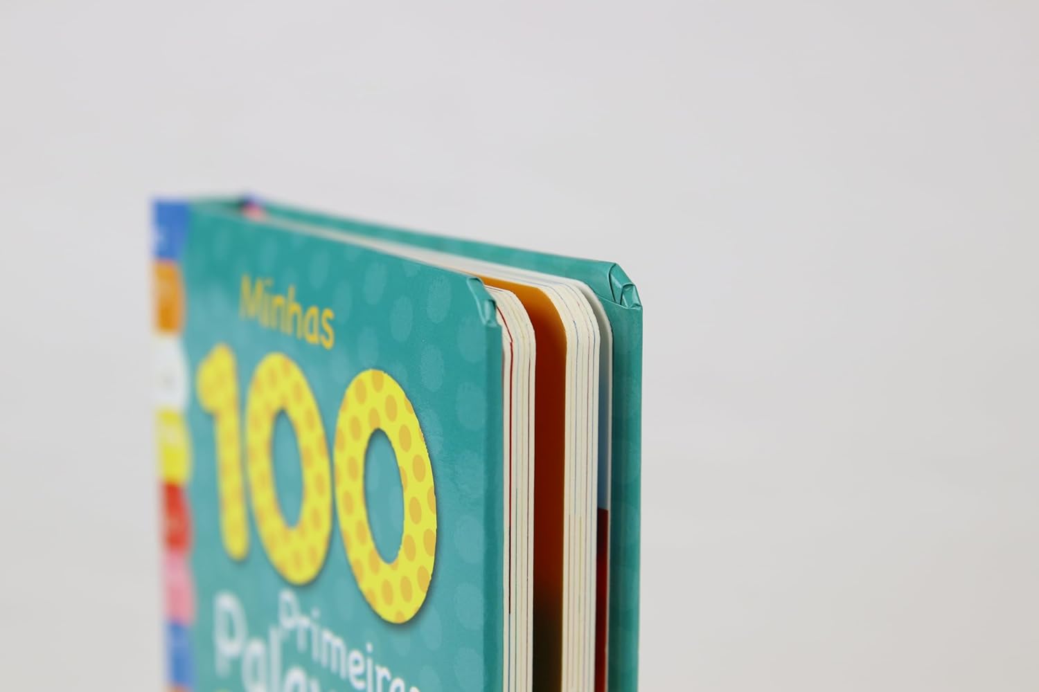 Minhas 100 Primeiras Palavras